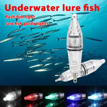 Shop Led Fishing Lamp Green Underwater online - Jan 2024