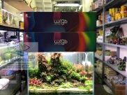 HOÀN TIỀN 10%ĐÈN CHIHIROS WRGB2 60CM