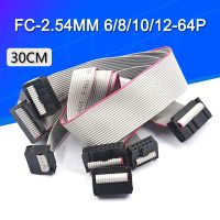 {: "》2ชิ้น2.54มม. FC-6/8/10/14/16/20/40/50 PIN 30CM JTAG ISP สายดาวน์โหลด ISP สีเทาแบน DC3สายสำหรับข้อมูล IDC BOX