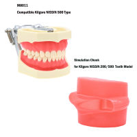 ทันตกรรมยางนุ่มจำลองแก้มเหมาะสำหรับ Kilgore NISSIN 500ประเภทที่ถอดออกได้ฟัน M8011 Tylodont รุ่นสำหรับการเรียนการสอนสาธิต