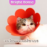 ปลอกคอกันเลีย คอลล่าแมว คอลล่าสุนัข ปลอกคอดอกไม้ Cat coll