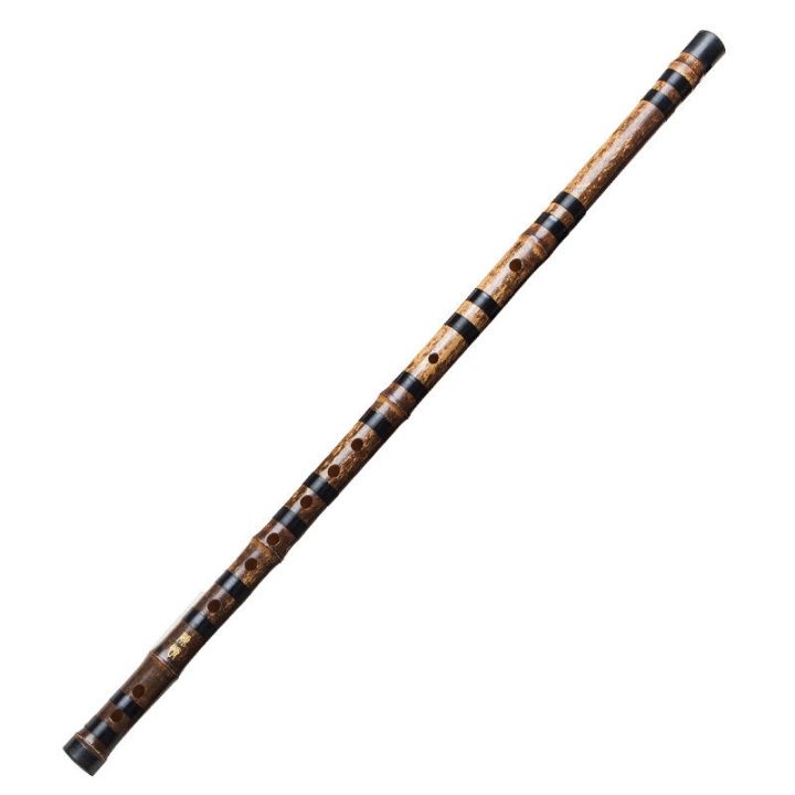 beginners-purple-bamboo-flute-senior-professional-playing-flute-adult-children-f-g-student-portal-female-antique-jade-flute