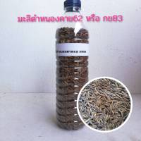 พันธุ์ข้าวมะลิดำหนองคาย62หรือกข83ชุดทดลองปลูกหนัก300กรัม