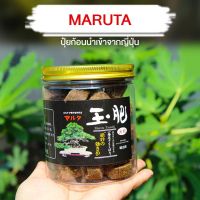 (พร้อมส่ง) MARUTA ปุ๋ยก้อนนำเข้าจากญี่ปุ่น ?? แถมตะกร้า บอนไซ ปุ๋ยแคคตัส ปุ๋ย ปุ๋ยบอนไซ อุปกรณ์บอนไซ เพรมน่า hb101