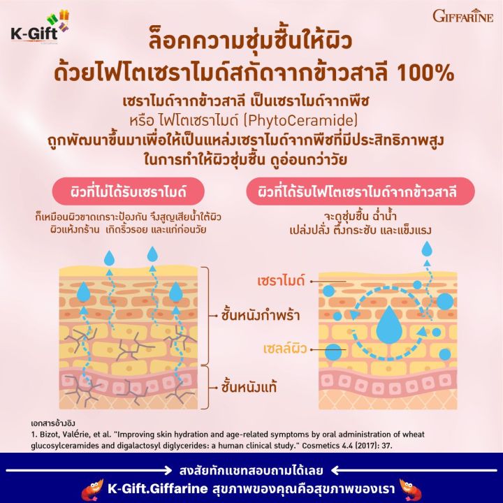 วีท-เซราไมด์-พลัส-กิฟฟารีน-อาหารเสริม-สุขภาพ-ผิวแห้ง-มอยเจอไรเซอร์-คอลลาเจน-วิตามินผิว-อาหารเสริมเพื่อผิวสวย-collagen-wheat-ceramide-plus-giffarine