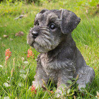 Schnauzer Ti-M รูปปั้นลูกสุนัขเรซินน่ารักที่สุดสนามหญ้าประติมากรรมตกแต่งบ้านที่มีความคล้ายคลึงกันอย่างน่าอัศจรรย์