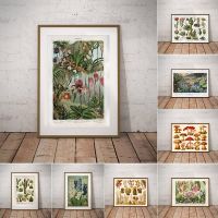 ○✜☊ กล้วยไม้ปลาย 1800s Botanical โปสเตอร์พิมพ์ Snapdragon โบราณดอกไม้พืช Wall Art ภาพวาด Home Room Decor