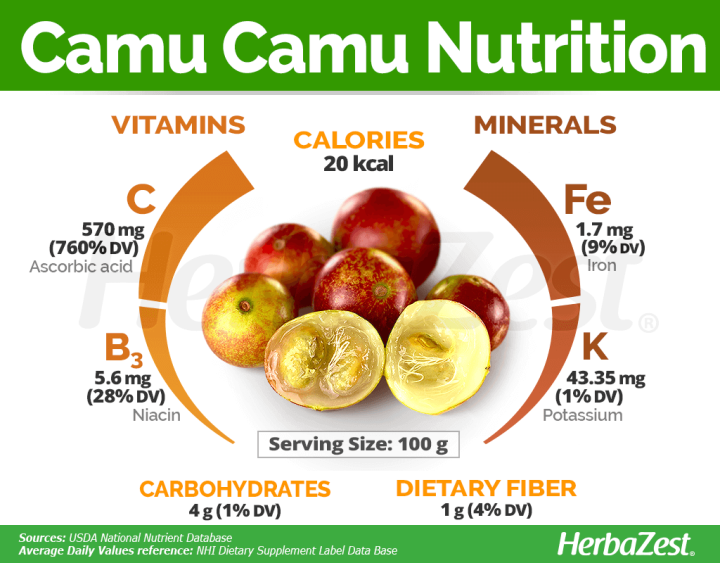 llamito-ผงคามูคามู-ออร์แกนิค-organic-camu-camu-powder-ขนาด-250g