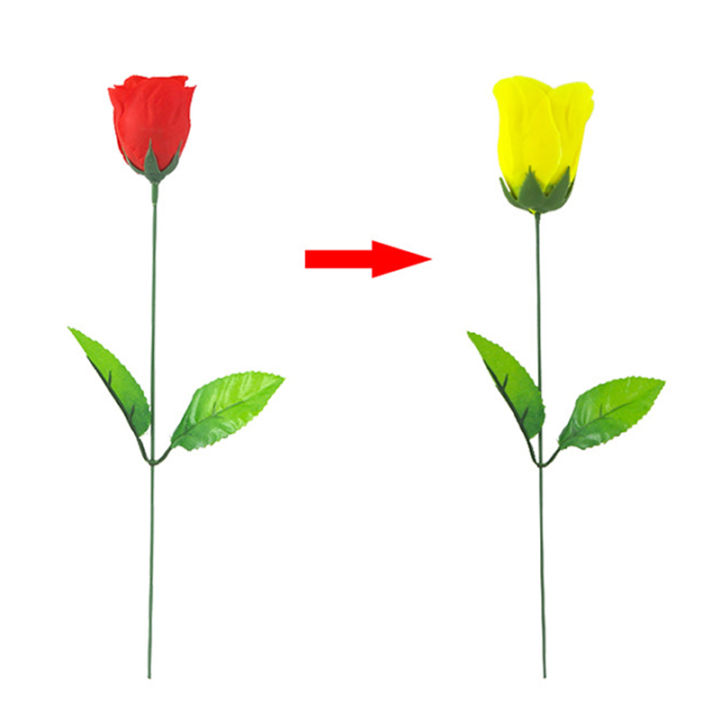 ruyifang-เปลี่ยนสีดอกกุหลาบ-สีแดงเปลี่ยนสีเหลือง-กุหลาบเมจิกเทคนิคเปลี่ยนกุหลาบเมจิก