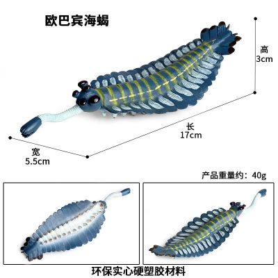 Childrens toys simulation ancient biological nautilus trilobites shrimp Cambrian Marine animal model furnishing articles