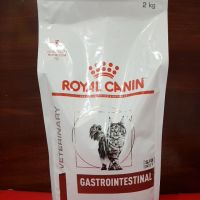 นาทีทองลด 50% แถมส่งฟรี royal canin gastrointestinal cat 2 kg อาหารเม็ด โรยัล คานิน สำหรับแมว ที่ป่วยทางเดินอาหาร