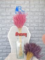 Rarin ดอกหญ้าหางกระรอก ช่อเล็ก (สี ชมพู) เป็นดอกไม้ธรรมชาติ ย้อมสี แต่งร้าน พร๊อพถ่ายรูป DIY พร้อมส่ง