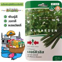 SORNDAENG ?? ผักซอง ศรแดง S019# บวบเหลี่ยม เฮอคิวลิส F1 บวบ East-West Seed Luffa seeds เมล็ดพันธุ์ผัก เมล็ดพันธุ์ ผักสวนครัว