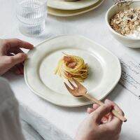 【CW】 Creativity Irregular Frosted Plates and Bowls Underglaze Dinner Set Dishes Tableware