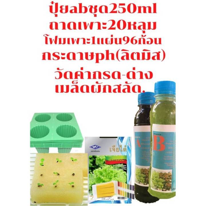 ปุ๋ยab-ชุด-250-ml-และชุดปลูกผักไฮโดโปรนิกส์