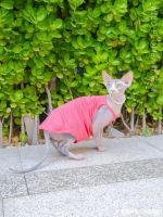 [COD] family Sphinx hairless cat summer sling German clothes breathable pet