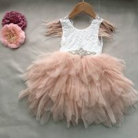 Princess baby feather dress 1st birthday party toddler girls lace flying sleeve summer dress kids tutu clothing with sashes