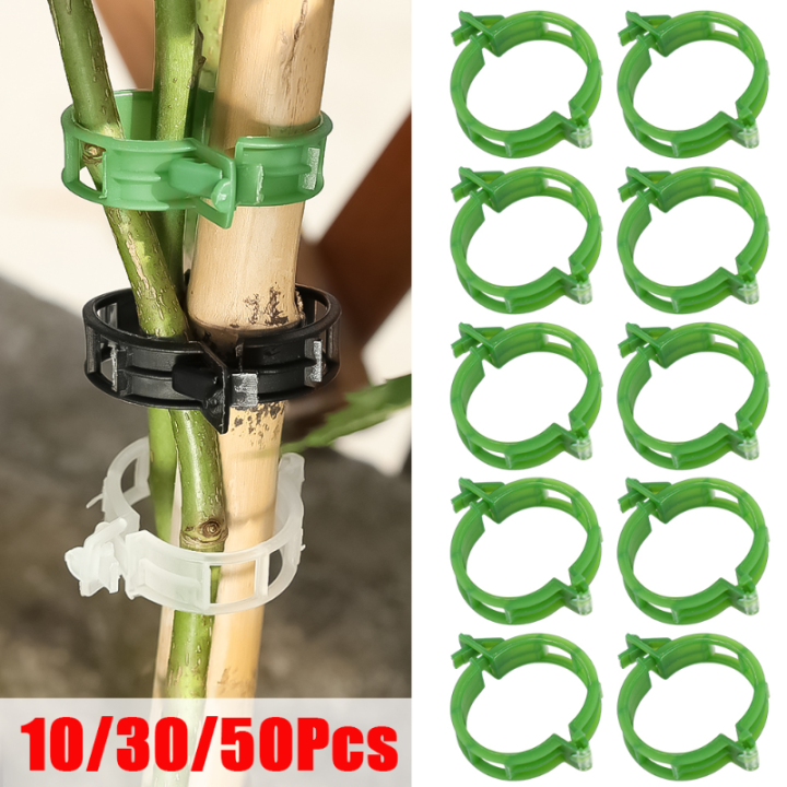 10/30/50Pcs Plastic Plant Support Clips Reusable Plant Vine Protection Grafting Fixing Tool for