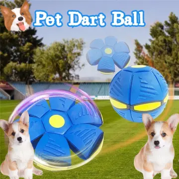 Pet Toy Flying Saucer Ball Magic Dog Toy Balls Children' Toys for Kids  Outdoor