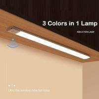 LED Bedroom Night Light Motion Sensor Lights Wireless USB Under Cabinet Light For Kitchen Wardrobe Indoor 3 Colors in 1 Lighting Ceiling Lights