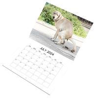 Dog Pooping Calendar Dog Pooping Monthly 2024 Wall Calendar Funny Hangable Paper Calendar For Home Hostel Living Room Hotel