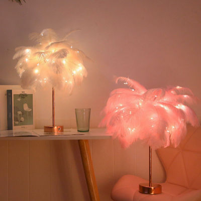 Feather Table Lamp Feather Lampshade LED Night Light USB Bedside Lamp With Remote Control and Battery Dual Purpose Bedroom Decor