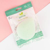 brushworks Konjac Sponge (Green Tea/Aloe Vera)