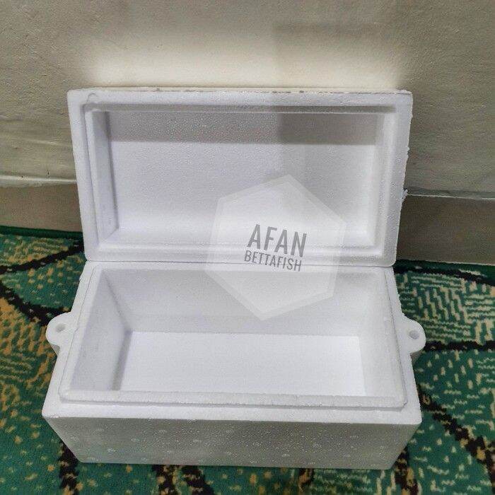 Styrofoam Box 2kg Styrofoam Breeding Frozen Box Lazada Indonesia