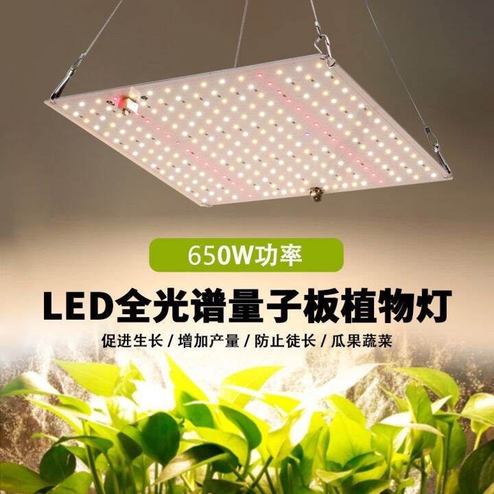 สินค้าพร้อมจัดส่ง-220v-full-spectrum-led-grow-light-650w-ไฟปลุกต้นไม้-ไฟช่วยต้นไม้โตเร็ว-แสงขาว-แสงธรรมชาติ-มีสวิตช์ปิดเปิด-สายไฟยาว1-5โมต-สินค้าใหม่-จัดส่งฟรีมีบริการเก็บเงินปลายทาง