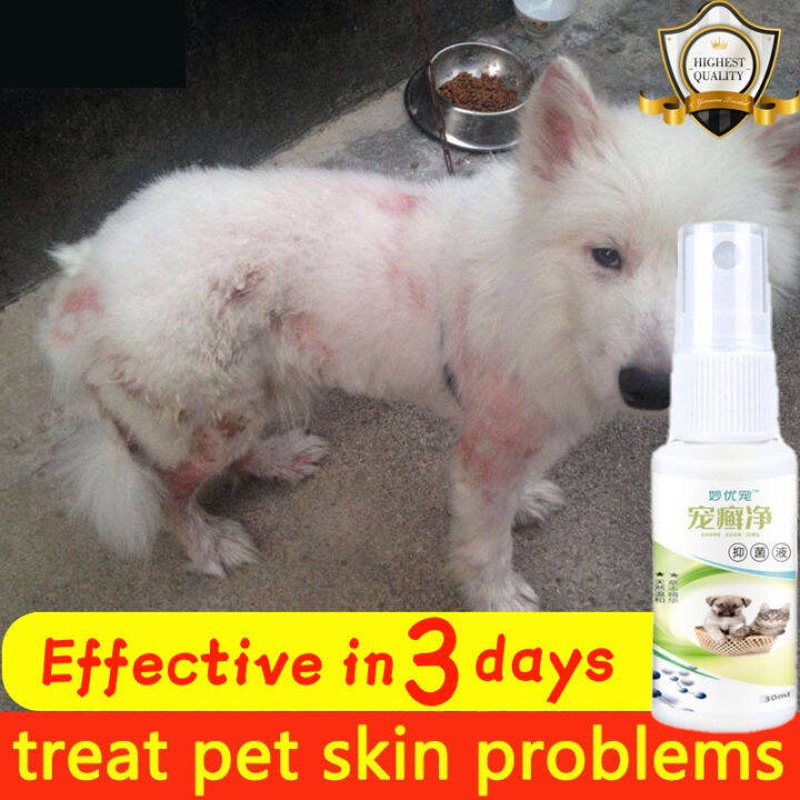 Dog Spray For Skin Disease Anti Fungal Spray For Cats Antibacterial