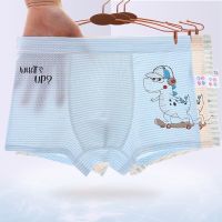 (TER)Childrens Underwear for Kids Cartoon Shorts Soft Cotton Underpants Boys Panties Dinosaurs Pattern 5Pcs/lot