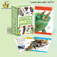 (In Stock) พร้อมส่ง *ลิขสิทธิ์แท้* แฟลชการ์ภาพสัตว์ 168 ใบ Our World in Pictures Animals of the World Flash Cards (DK Our World in Pictures) Cards – May 31