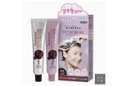 Thuốc nhuộm tóc thảo dược phủ bạc Richenna