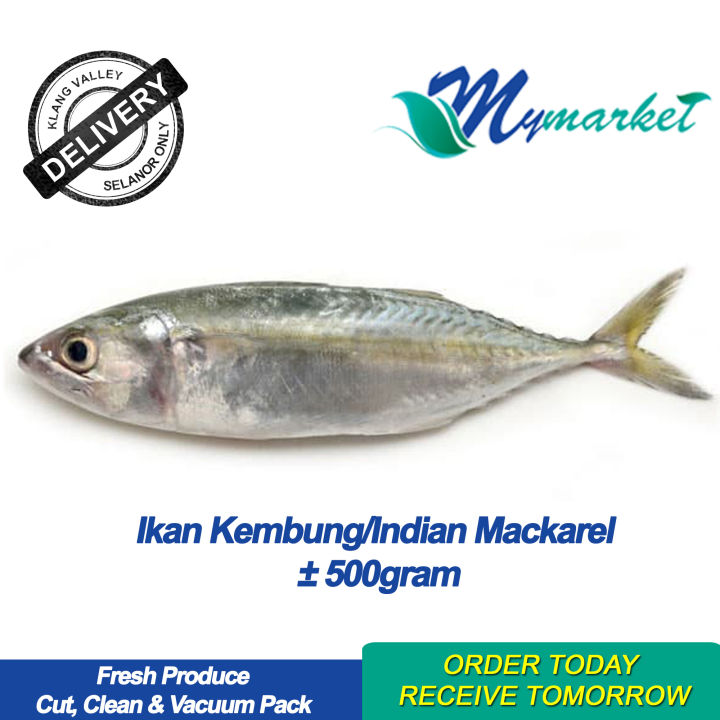 Ikan Kembung (Indian Mackerel) ±500g - mymarket.com.my | Lazada