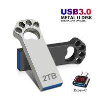 Baru Pen Drive 2TB logam kecepatan tinggi Usb 3.0 Pendrive 1TB Tipe C perak Cle Usb Flash Drive 512GB Memoria Stik Usb gratis pengiriman