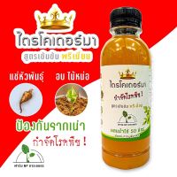 Promotion ไตรโคเดอร์มา เชื้อสด ป้องกันรากเน่าราสนิม โรคพืชต่างๆ แช่หัวพันธุ์ อบไม้หน่อ กันเชื้อรา พร้อมส่ง พรรณ ไม้ น้ำ พรรณ ไม้ ทุก ชนิด พรรณ ไม้ น้ำ สวยงาม พรรณ ไม้ มงคล