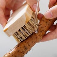 Vegetable Scrubber Brush Wooden Kitchen Cleaning Brush Fruit Brush For Food Dish Multi-Functional Kitchen Natural Scrub Brush Cleaning Tools