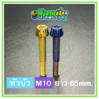 น็อตสแตนเลส หัวบัว ขนาดเกลียว m10 ยาว 65 mm.