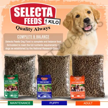 Best dog food for beagle clearance philippines