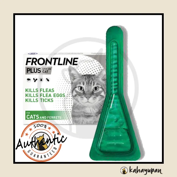 is frontline plus safe for older dogs