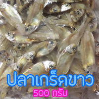 ปลาเกร็ดขาว รสชาติดี ไม่เค็ม ทานกับข้าวต้ม ยำชนิดต่างๆ ปริมาณ 500 กรัม