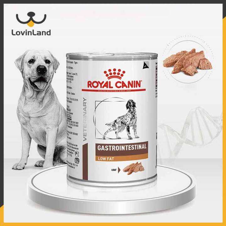 Royal Canin Intestinal Low Fat Weight Loss Diabetes Kidney Diabetes Prescription Wet Food Canned