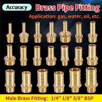 6/8/10/12/14/16/19mm Brass Pipe Fitting Hose Barb Tail 1/8 quot; 3/8 quot; 1/4 quot; BSP Male Pagoda Gas Connector Joint Copper Coupler Adapter