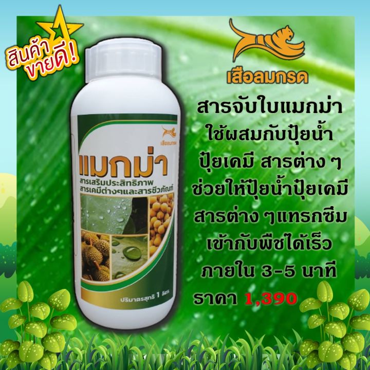 สารจับใบ-แมกม่า-1-ลิตร-1-ขวด-ช่วยให้ปุ๋ยน้ำ-ปุ๋ยเคมี-สาร-ยา-ต่างๆแทรกซึมเข้ากับพืชได้เร็วภายใน-3-5-นาที-หลังการฉีดพ่น-เห็นผลได้ทันที