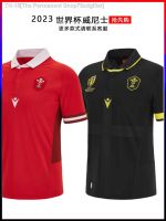 ✆﹉ RWC 2023 World Cup Wales Home and Away Rugby Jersey World Cup Rugby Jersey