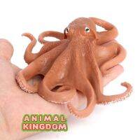 Animal Kingdom - โมเดล Octopus ปลาหมึกยักษ์ ขนาด 14.00 CM (จากสงขลา)