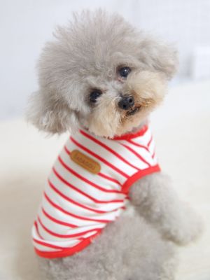 2023 New Fashion version [Fast delivery] pet bichon schnauzer small dog teddy dog ​​clothes spring and summer spring and autumn striped vest