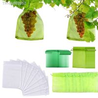 ☫♛ 20PCS Grapes Fruit Protection Bags Garden Mesh Bags Agricultural Orchard Pest Control Anti-Bird Netting Vegetable Bags