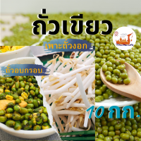 ถั่วเขียว 10 กิโลกรัม mung bean ตราเรือหงส์ ถั่วเขียวเพาะ ถั่วงอก ถั่วเขียวปลูก ถั่วเขียวทำขนม ถั่วเขียวเม็ด เมล็ดพันธุ์ถั่ว