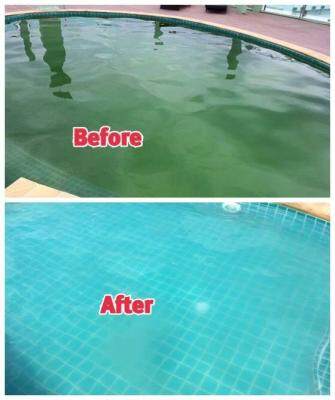 ของแท้ !!! ที่นี่ที่เดียว 5 ลิตร Phuketpoolclean สุดคุ้ม !! แพ็คคู่ 2 แกลลอน แก้น้ำเขียว Pool Clean Plus น้ำยากำจัดตะไคร่ ตะไคร่น้ำเขียว สำหรับสระว่ายน้ำ ป้องกันตะไคร่